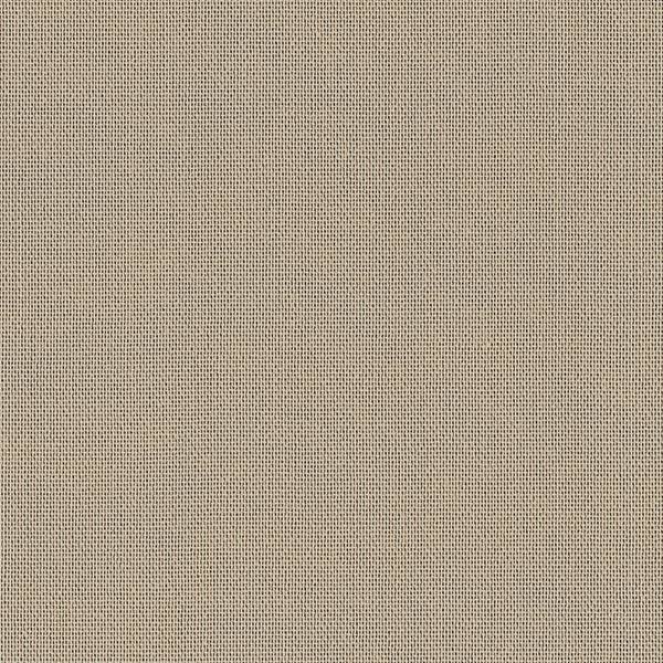 Autumn, 0221