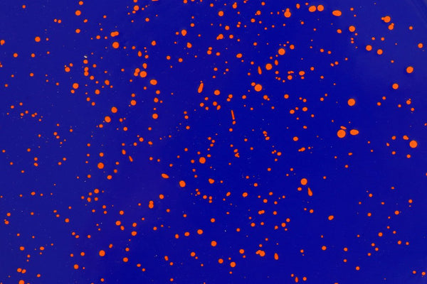 Enameled Steel, Blue / Orange Splatter